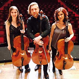 Cello Fury - Sonic Evolution